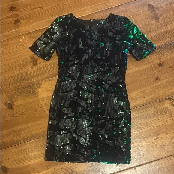 green emerald velvet dress Green Sequin Dress: Women's Christmas Outfits main image 1